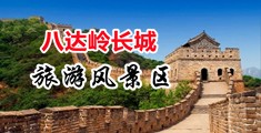 黄色网站任你操中国北京-八达岭长城旅游风景区