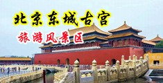 啊嗯舔哦舔操视频中国北京-东城古宫旅游风景区